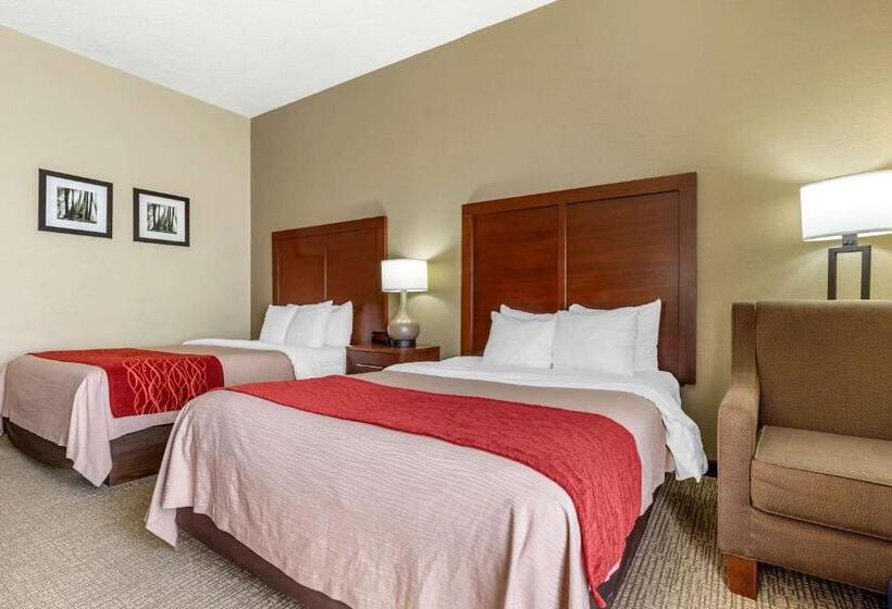 장애인을 위한 스탠다드 룸, Comfort Inn Blythewood  North Columbia