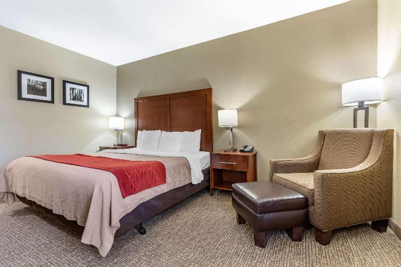 带大床的标准间, Comfort Inn Blythewood  North Columbia