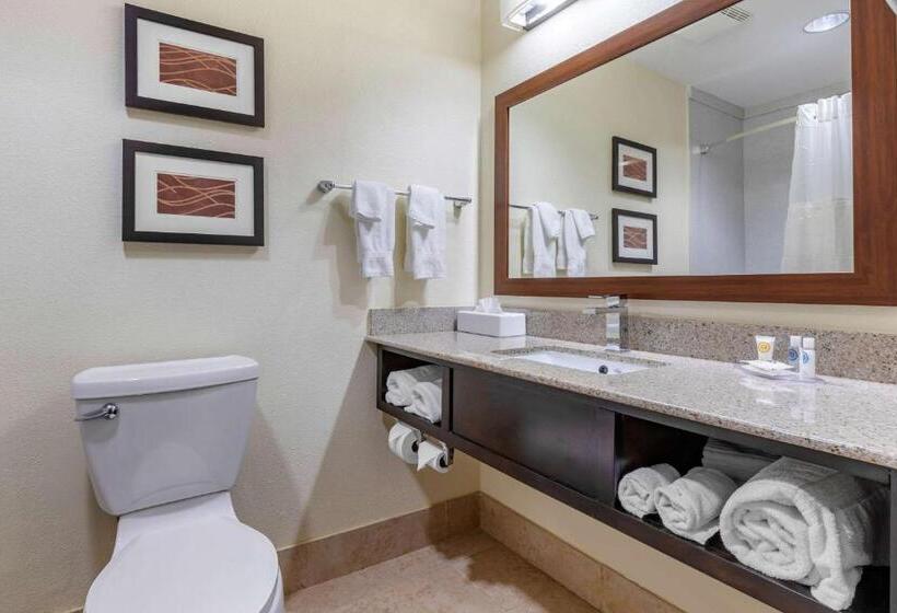Люкс Кровать Кинг, Comfort Inn & Suites Lake Norman