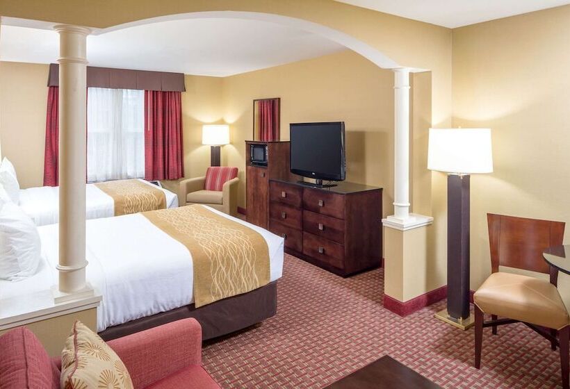 Quarto Estandar para Deficientes Físicos, Comfort Inn & Suites Near Burke Mountain
