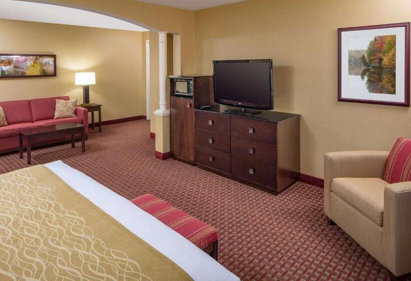 Номер Стандарт Кровать Кинг Адаптированный для Инвалидов, Comfort Inn & Suites Near Burke Mountain