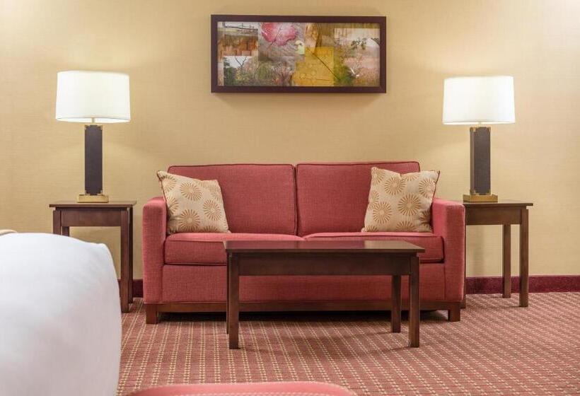 Номер Стандарт Кровать Кинг Адаптированный для Инвалидов, Comfort Inn & Suites Near Burke Mountain