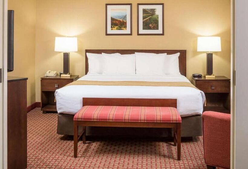 Suíte para Deficientes Físicos, Comfort Inn & Suites Near Burke Mountain