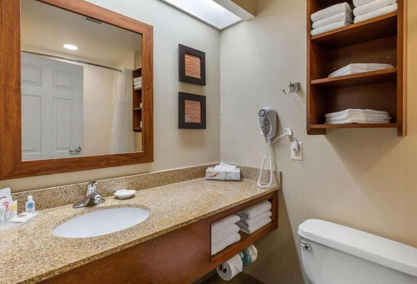 Люкс, Comfort Inn & Suites North Conway