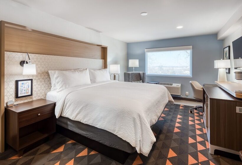 스탠다드 룸, Holiday Inn Kansas City Downtown By Ihg