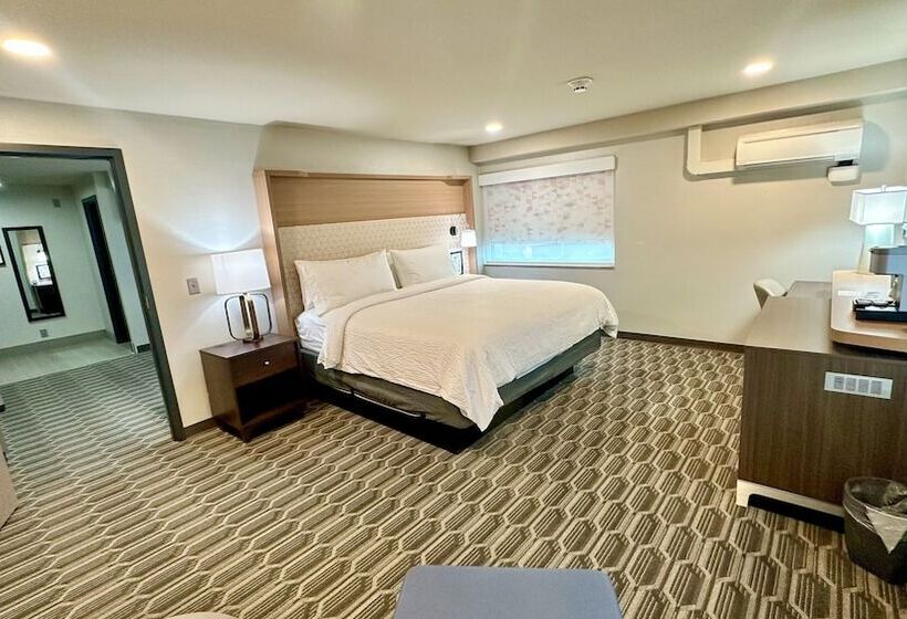 스탠다드 룸, Holiday Inn Kansas City Downtown By Ihg