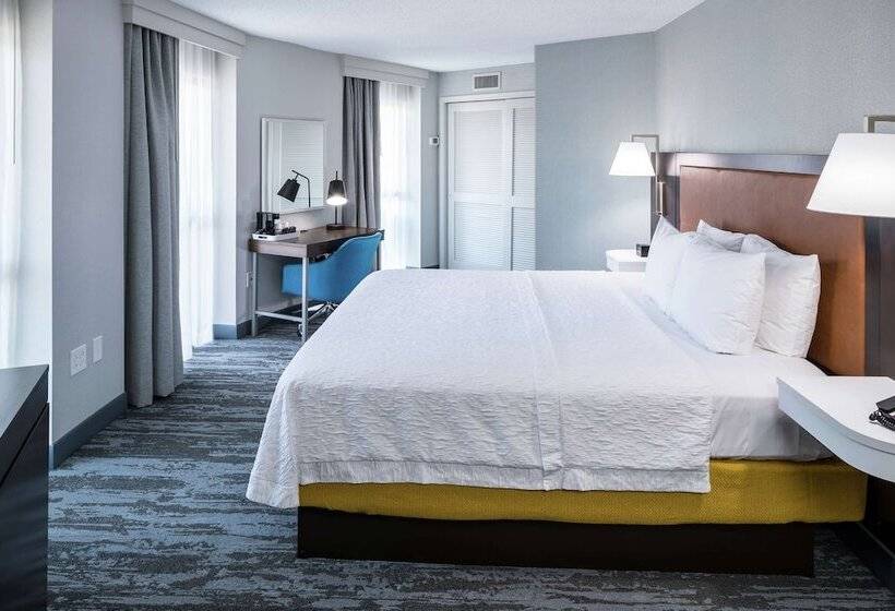 Camera Standard Letto Matrimoniale, Hampton Inn & Suites Memphis Beale Street