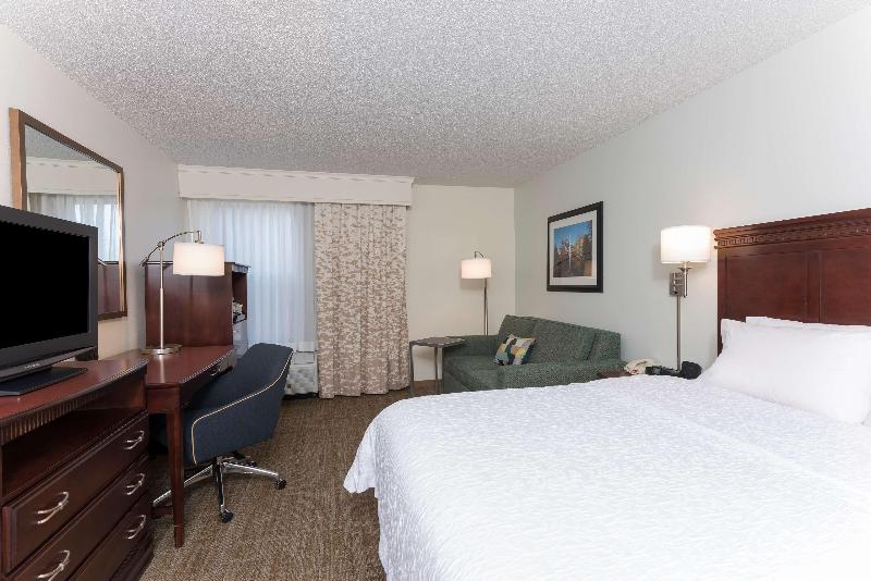 스탠다드 룸 킹사이즈 침대, Hampton Inn East Lansing