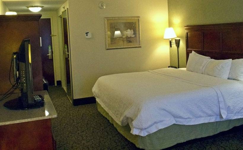 Стандартный Номер Кровать Кинг, Hampton Inn Ithaca