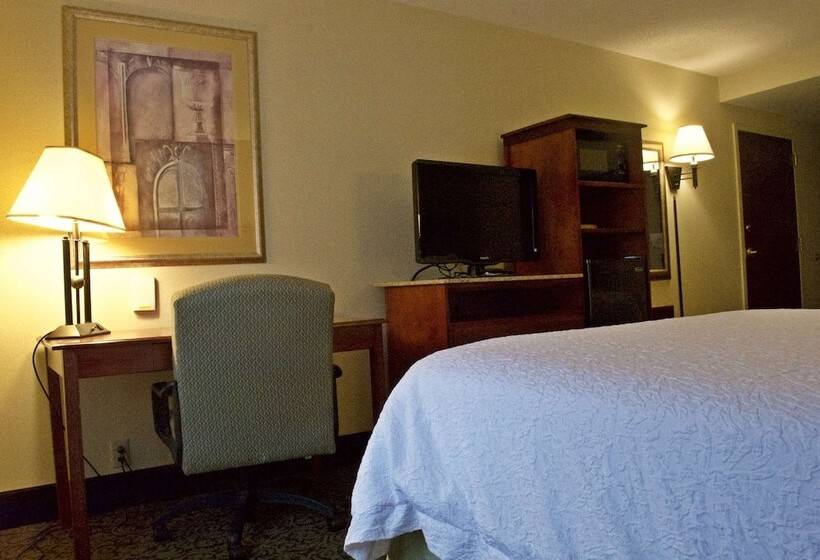 Стандартный Номер Кровать Кинг, Hampton Inn Ithaca