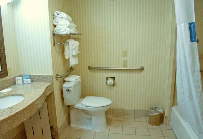 Студио Стандарт Кровать Кинг, Hampton Inn Ithaca
