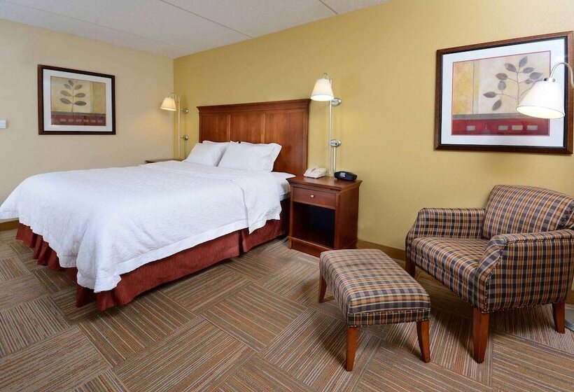 스탠다드 룸 킹사이즈 침대, Hampton Inn Raleigh Capital Blvd. North