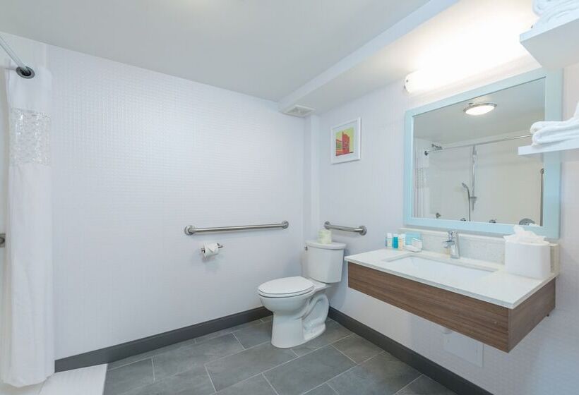 חדר סטנדרט, Hampton Inn Tampaveterans Expwy