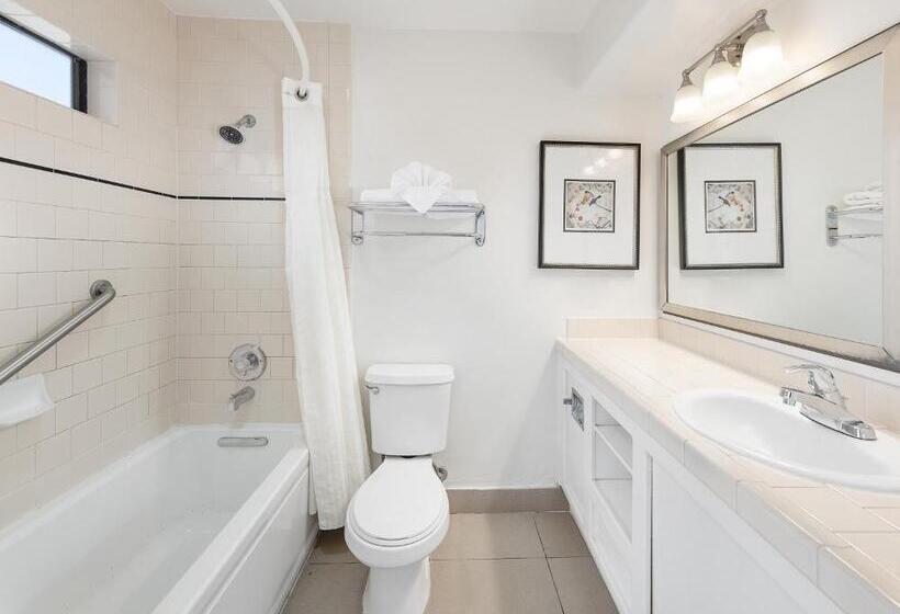 Люкс с Видом, Pelican Inn & Suites