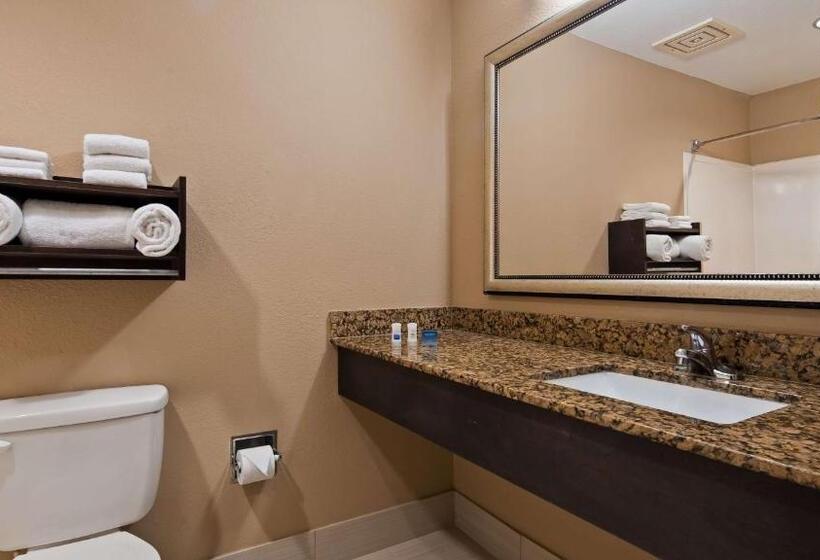 스위트 킹사이즈 침대, Best Western Bayou Inn And Suites
