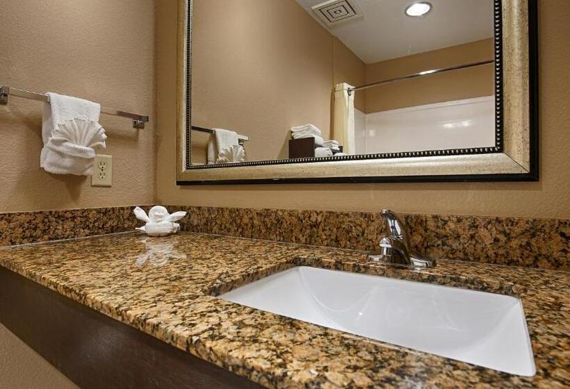 장애인을 위한 스위트, Best Western Bayou Inn And Suites