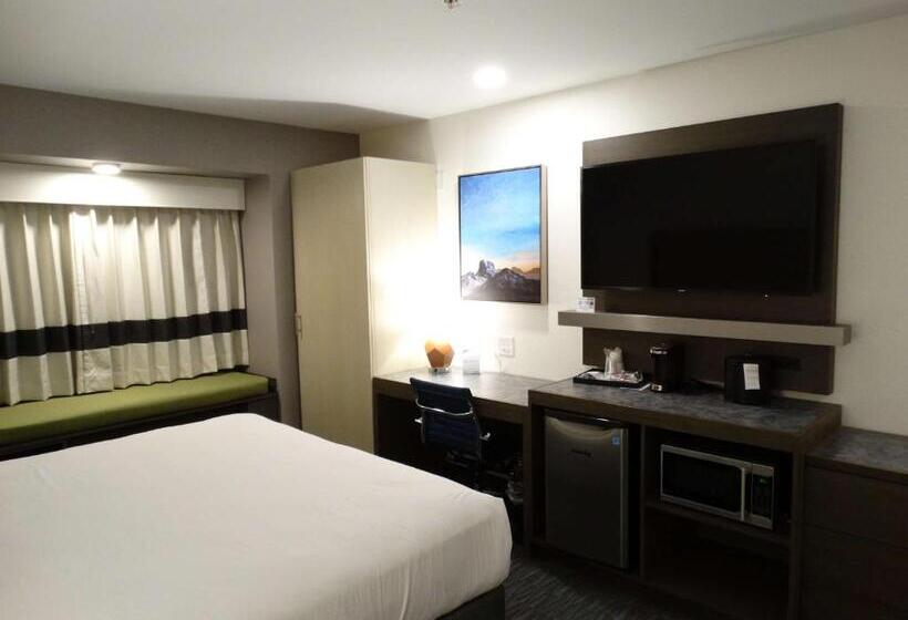 장애인을 위한 스위트, Best Western Plus Yuma Foothills Inn & Suites