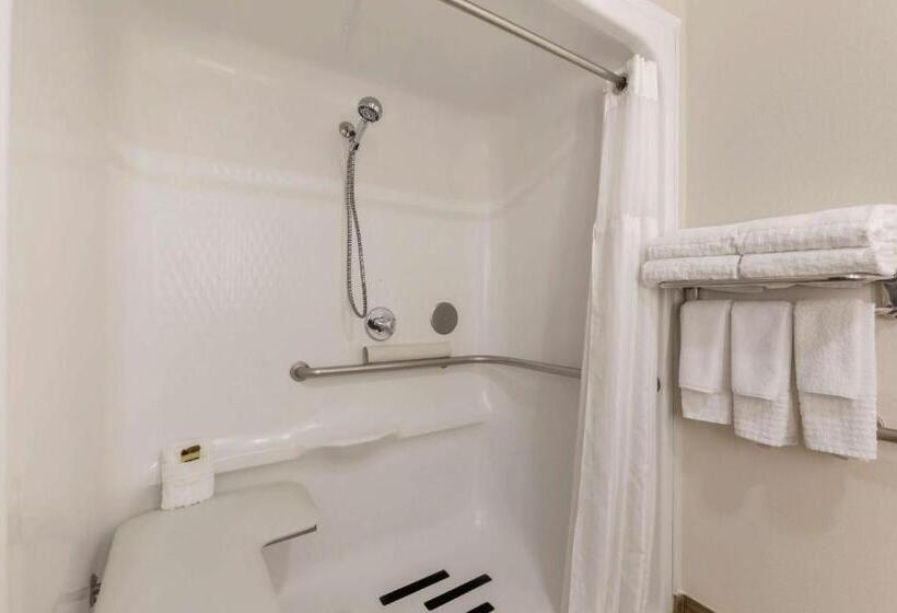 장애인을 위한 킹사이즈 침대 스탠다드 룸, Best Western Plus Yuma Foothills Inn & Suites