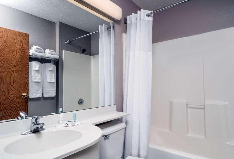 Студия Стандарт, Microtel Inn & Suites By Wyndham New Ulm