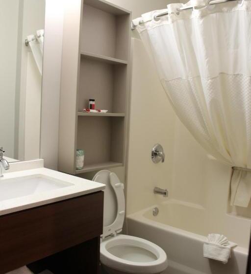 Люкс, Microtel Inn & Suites By Wyndham