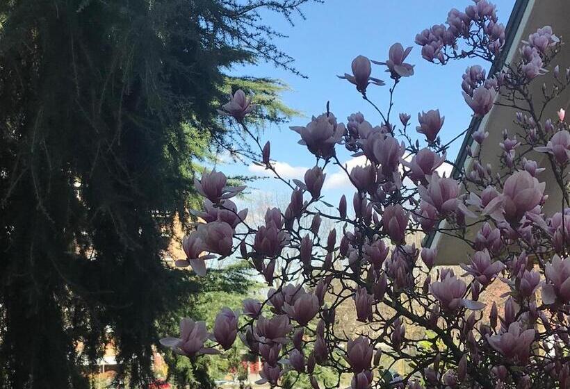 스탠다드 룸 킹사이즈 침대, B&b Borgo Dei Fiori