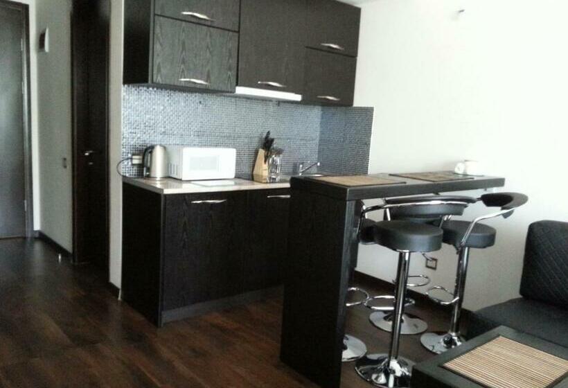 استودیوی استاندارد, New Gudauri Apartment