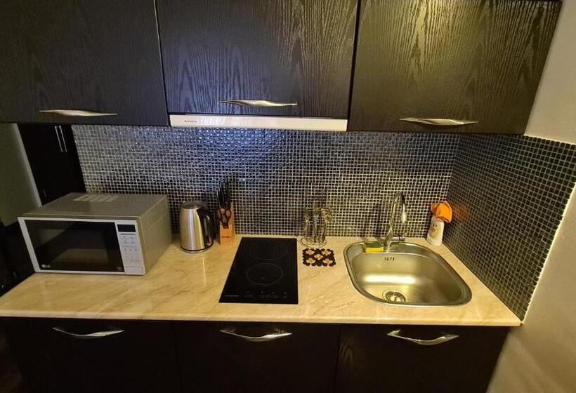 استودیوی استاندارد, New Gudauri Apartment