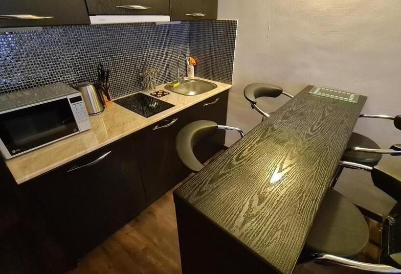 استودیوی استاندارد, New Gudauri Apartment