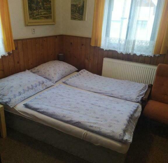 Номер Стандарт, Penzion Borovice