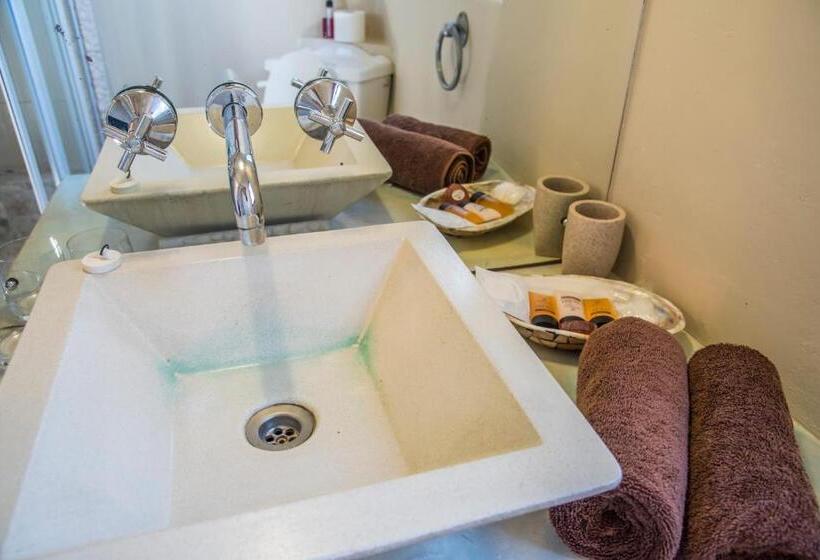 Номер Стандарт, Grootvlei Guest Farm