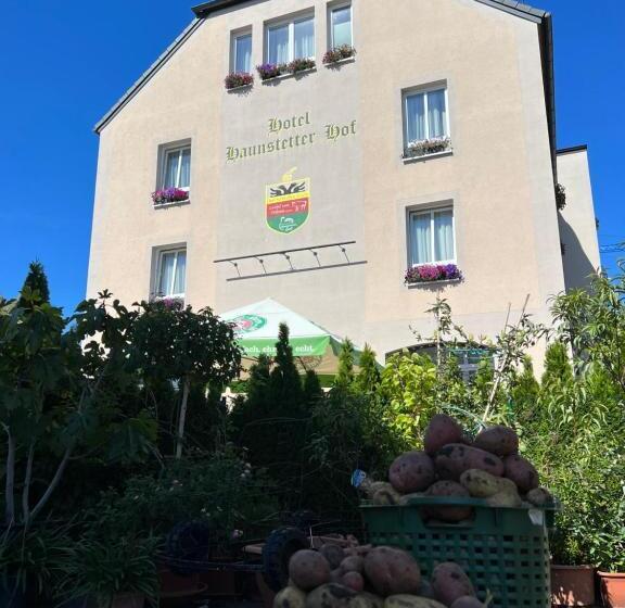 デラックスルーム, Haunstetter Hof Augsburg