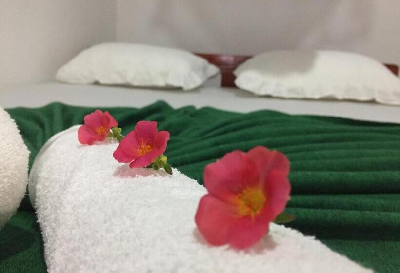 اتاق اکونومی, Chill House Safari Resort