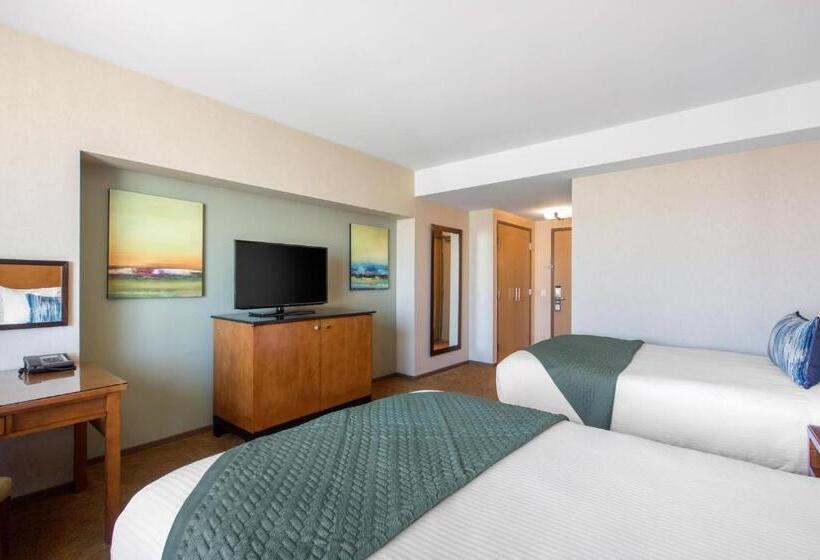 Cameră Deluxe, Omni San Diego