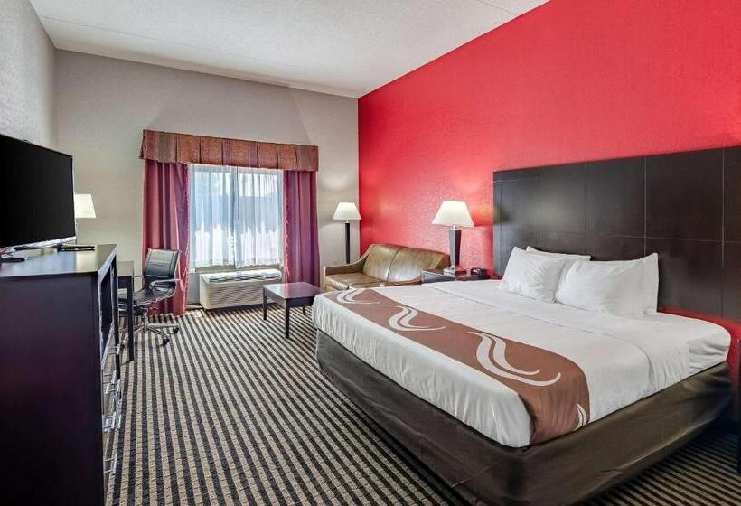 Стандартный Номер Кровать Кинг, Quality Inn & Suites