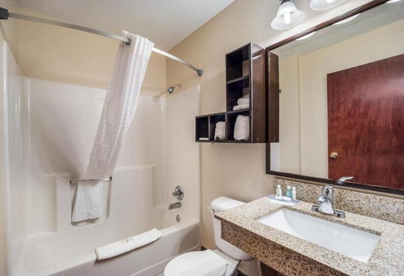 Номер Стандарт, Quality Inn & Suites Augusta Fort Eisenhower Area