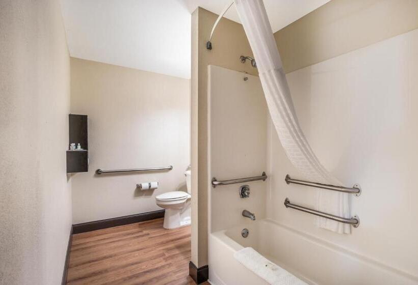Номер Стандарт Кровать Кинг Адаптированный для Инвалидов, Quality Inn & Suites Augusta Fort Eisenhower Area
