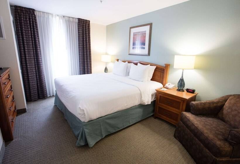 Suite, Sonesta Es Suites Austin The Domain Area