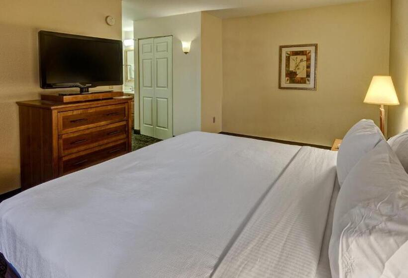 Люкс 2 Спальни, Staybridge Suites Denver   Cherry Creek, An Ihg