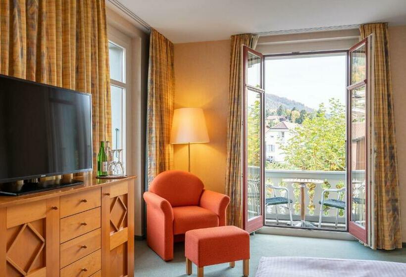 Номер Стандартный с Видом, Schönbühl Hotel & Restaurant Lake Thun