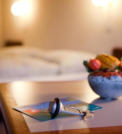 Номер Стандарт Индивидуальный, Seehotel Bönigen