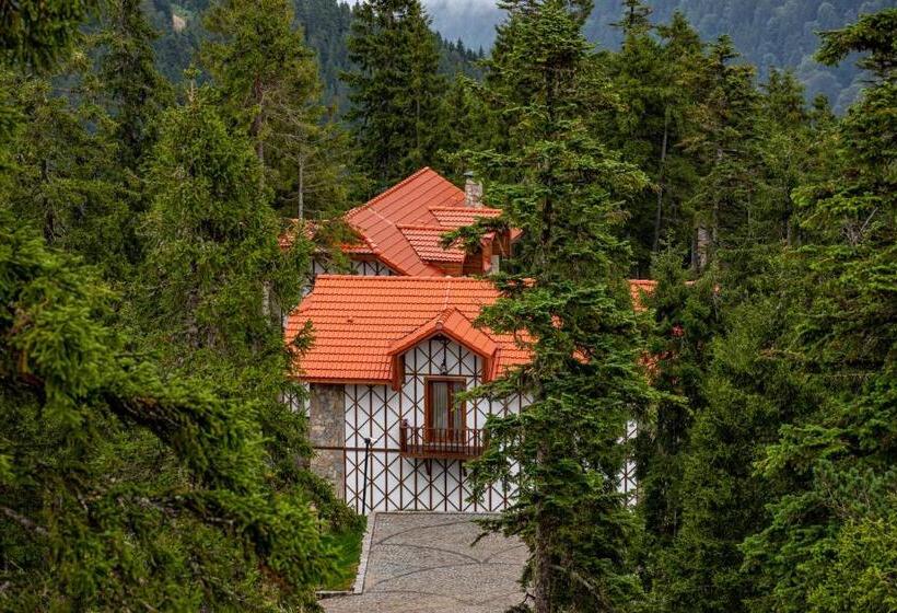 Вилла Superior 1 Спальня, Foleya Mountain Resort Hotel & Villas