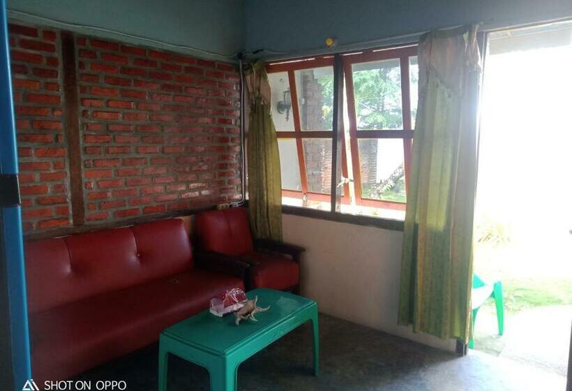 Семейный Номер Вид на Сад, Salty Dog Hostel
