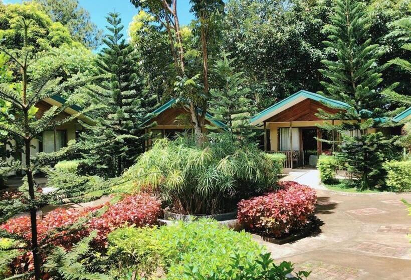 标准间, Ted S Bed And Breakfast