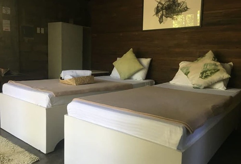 标准间, Ted S Bed And Breakfast