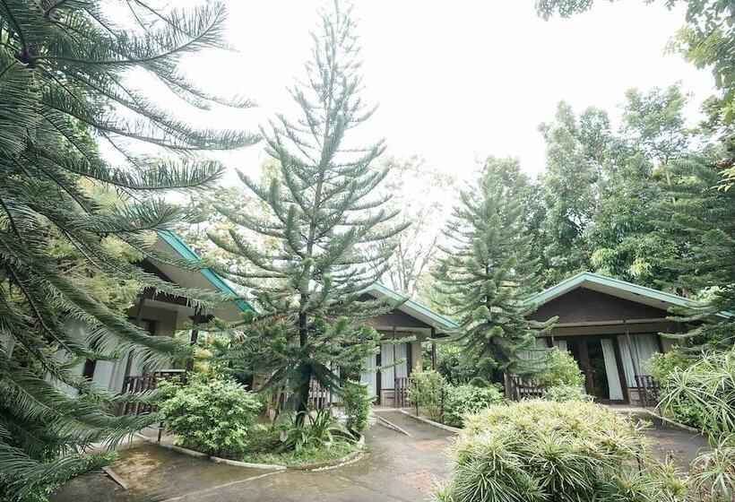 基本间, Ted S Bed And Breakfast
