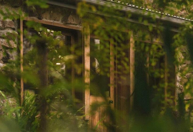 침실 1개 주택, Palm Grove Rainforest Retreat