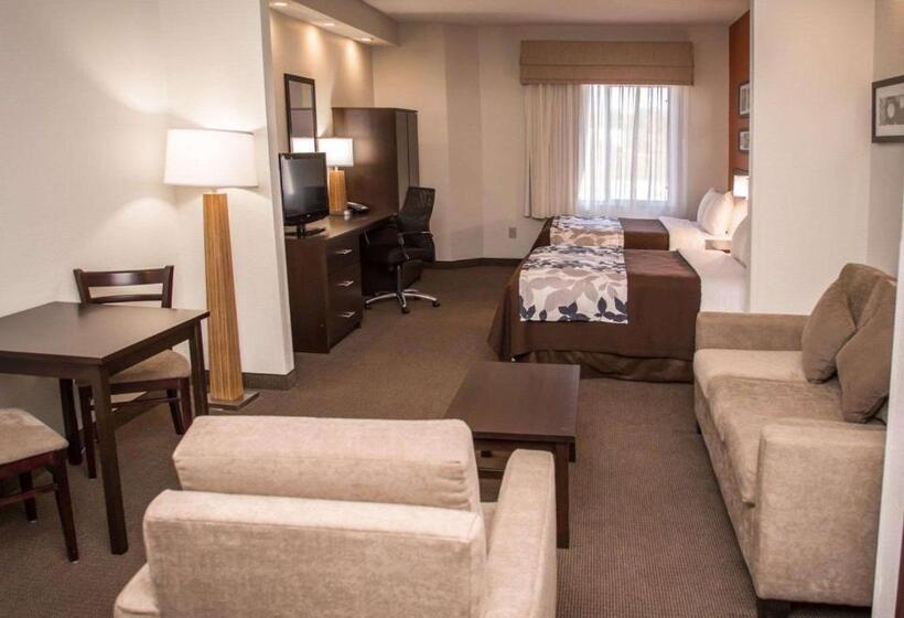 스위트, Sleep Inn & Suites At Concord Mills