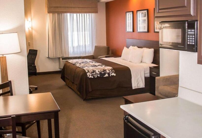 스위트 킹사이즈 침대, Sleep Inn & Suites At Concord Mills