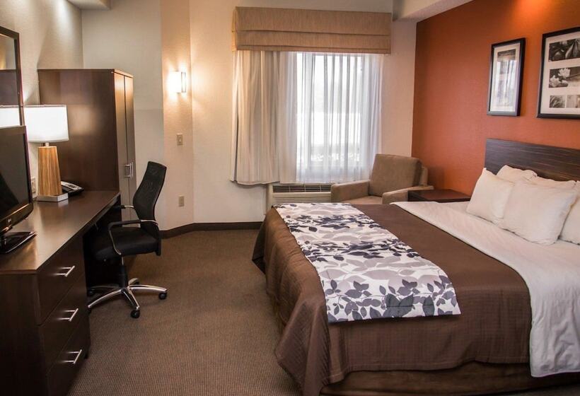 장애인을 위한 스위트, Sleep Inn & Suites At Concord Mills