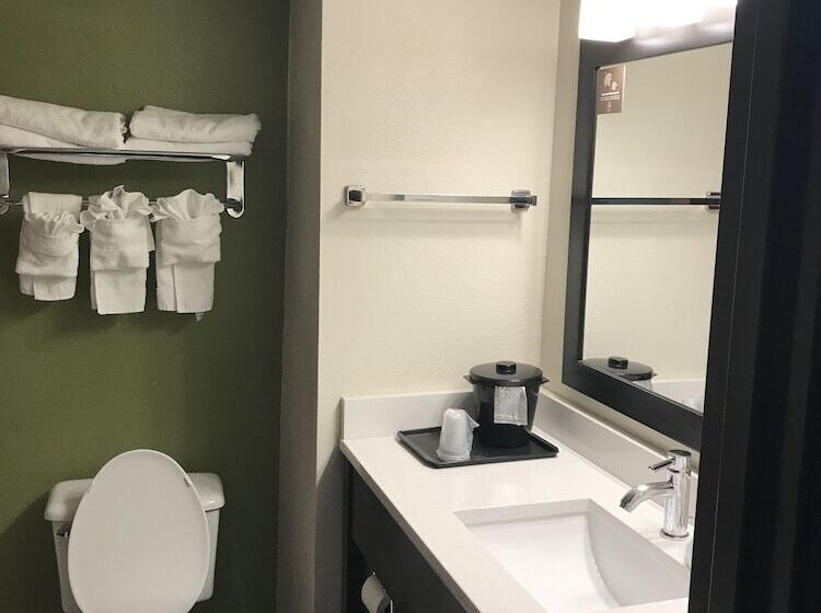 Номер Стандарт 2 Двуспальные Кровати, Sleep Inn & Suites Near Sports World Blvd